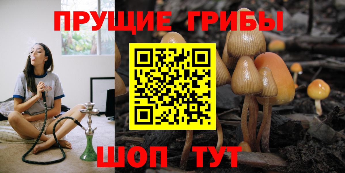 закладки  Псилоцибиновые грибы прущие грибы  Вход с VPN  Усинск  Псилоцибиновые грибы Magic Shrooms 
